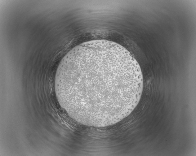 X0000077990772200611171753