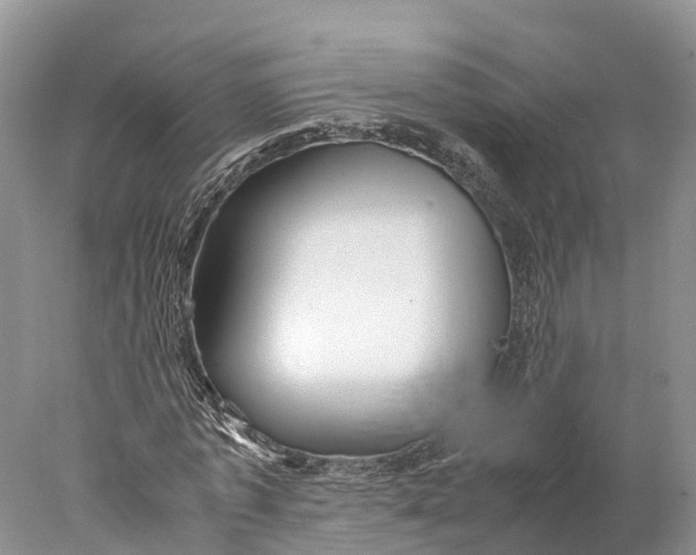 X0000077990773200611171753