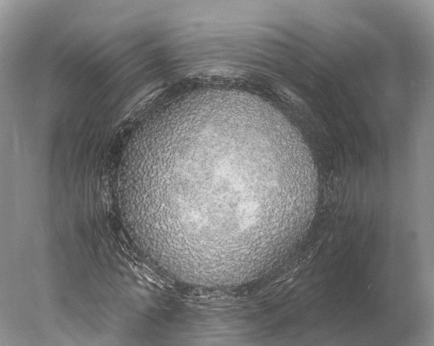 X0000077990774200611171753