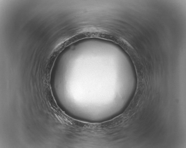 X0000077990775200611171753