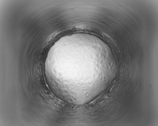 X0000077990776200611171753