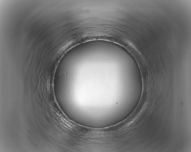 X0000077990777200611171753