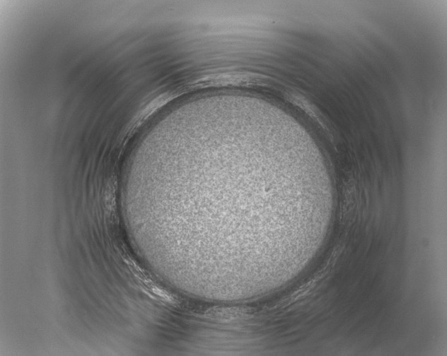 X0000077990778200611171753