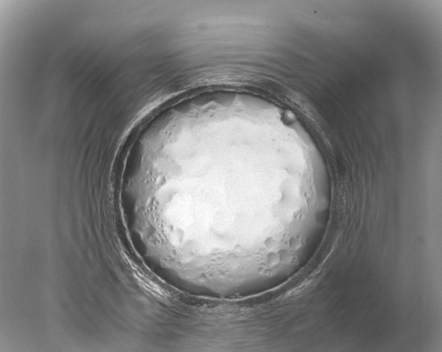 X0000077990779200611171753