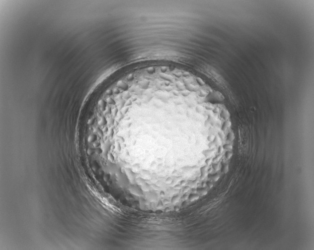 X0000077990780200611171753