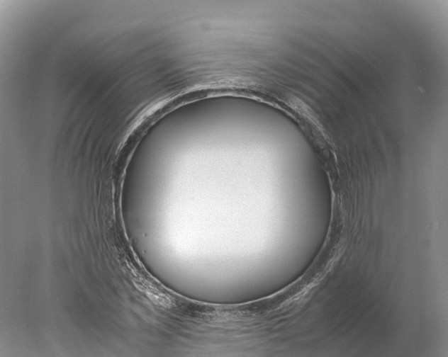 X0000077990781200611171753