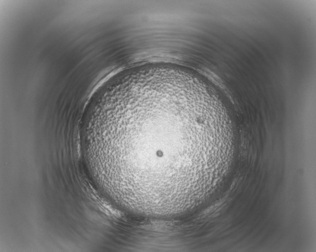 X0000077990782200611171753