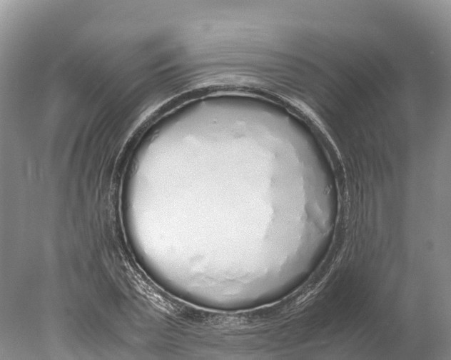 X0000077990783200611171753