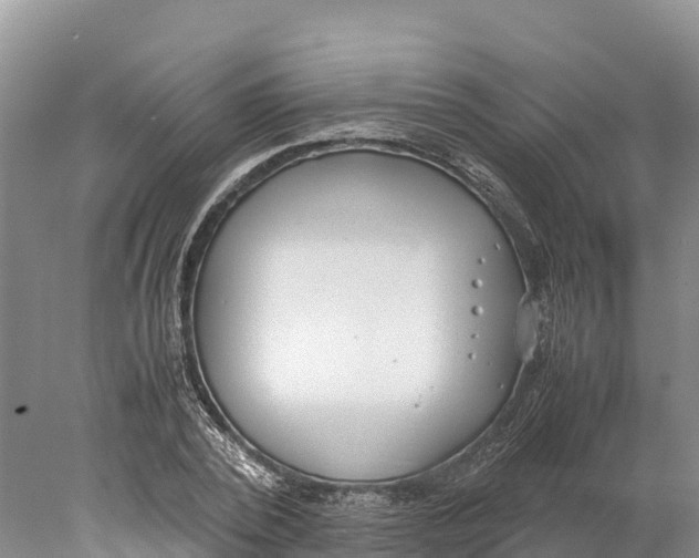 X0000077990784200611171753