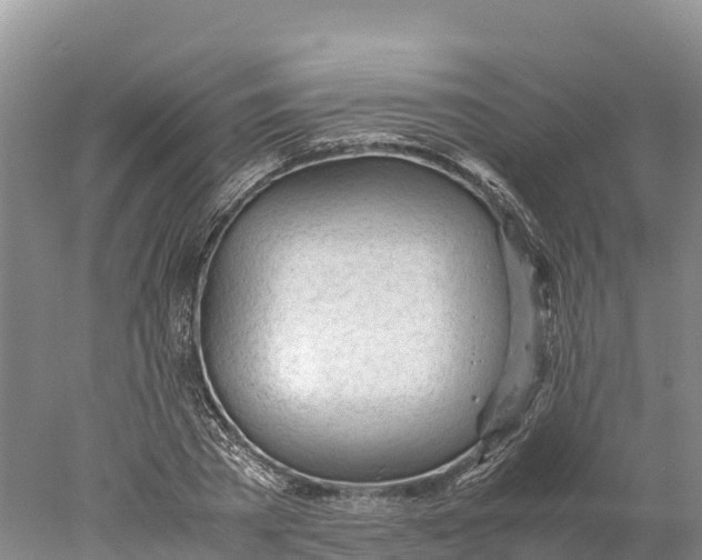 X0000077990785200611171753