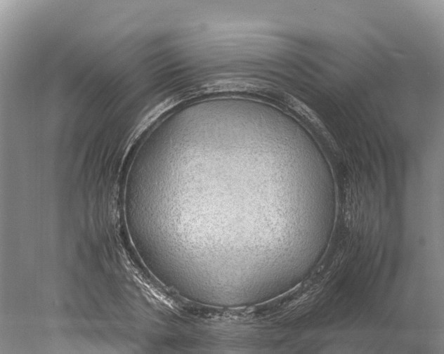 X0000077990786200611171753