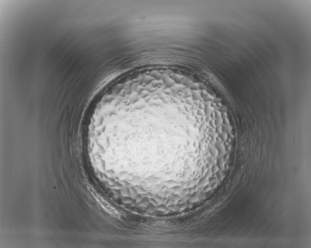 X0000077990787200611171753