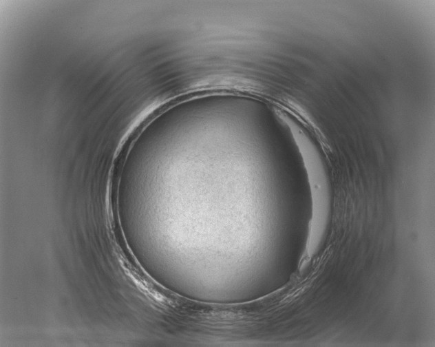 X0000077990788200611171753