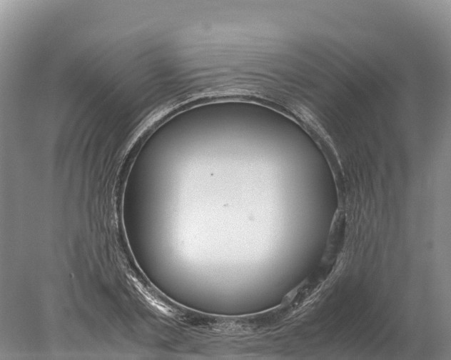 X0000077990789200611171753