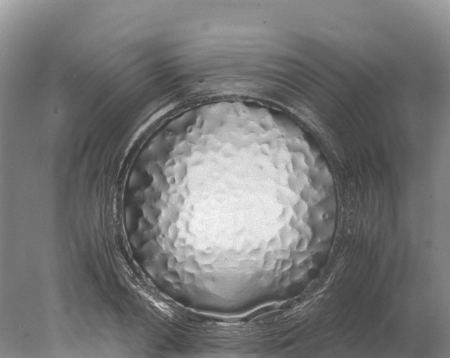 X0000077990790200611171753