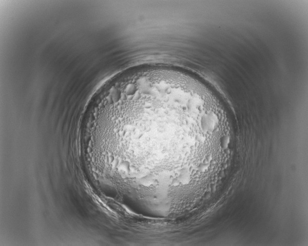 X0000077990791200611171753