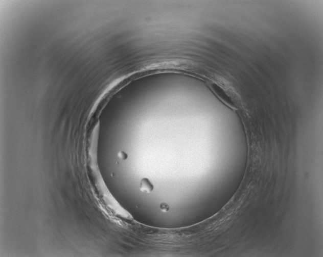 X0000077990792200611171753