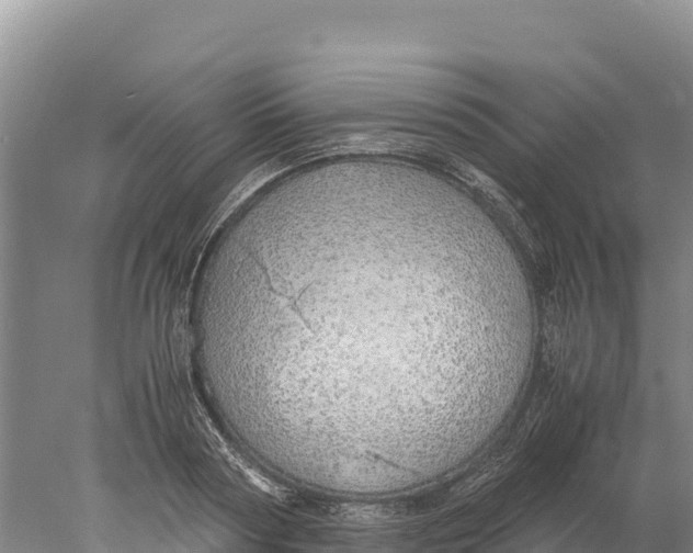 X0000077990794200611171753