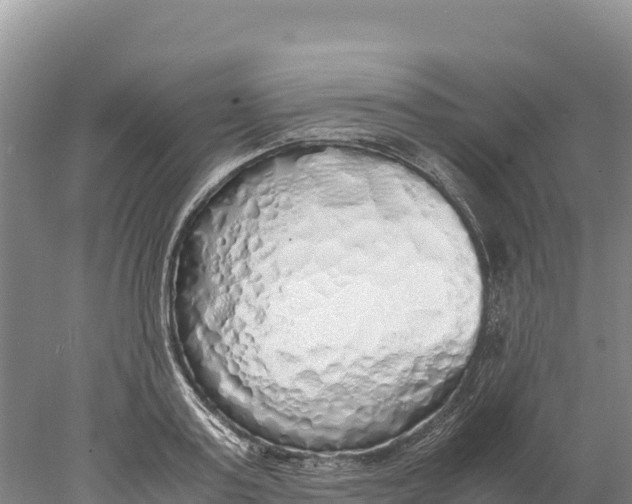 X0000077990795200611171753