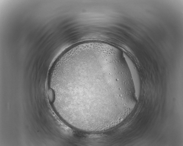 X0000077990796200611171753