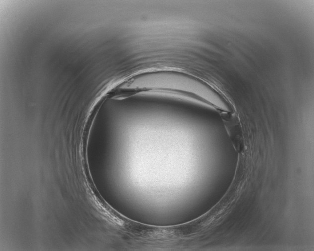 X0000077990797200611171753