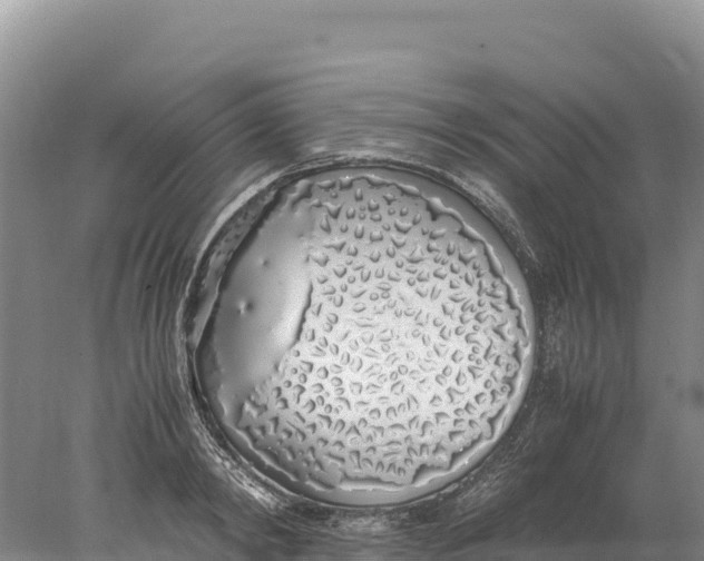 X0000077990798200611171753