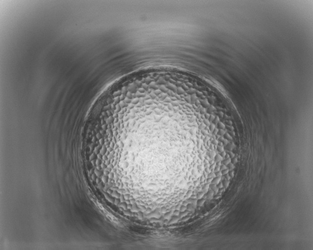 X0000077990799200611171753