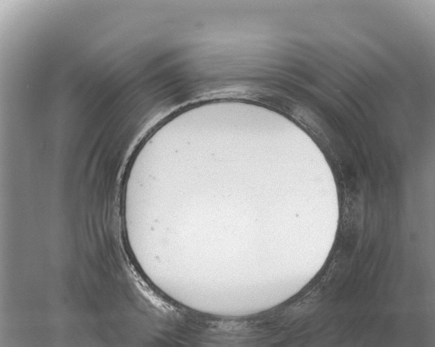 X0000077990800200611171753