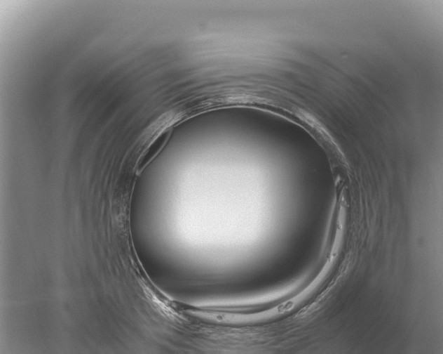 X0000077990801200611171753