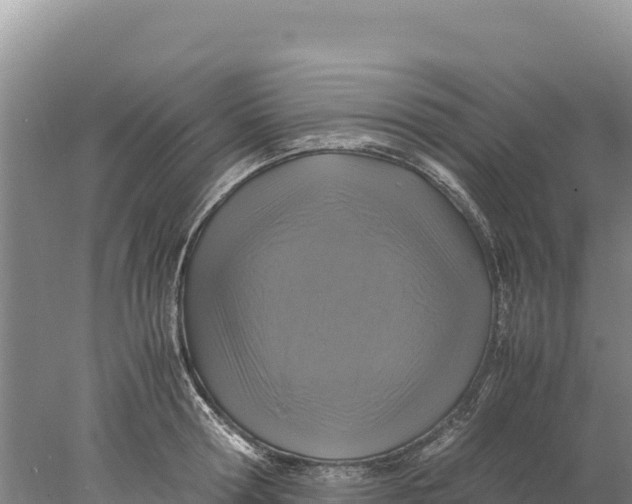 X0000077990802200611171753