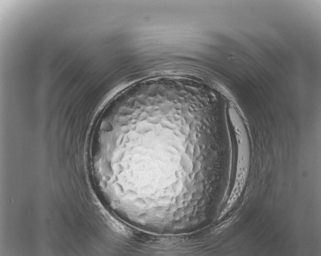 X0000077990803200611171753