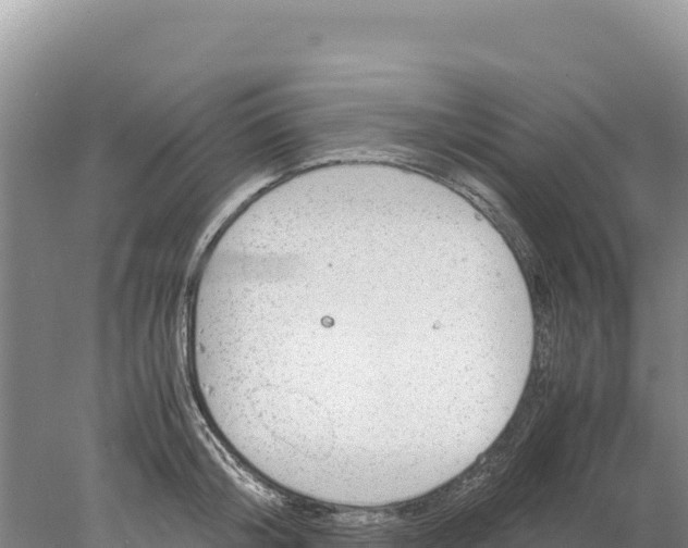 X0000077990804200611171753