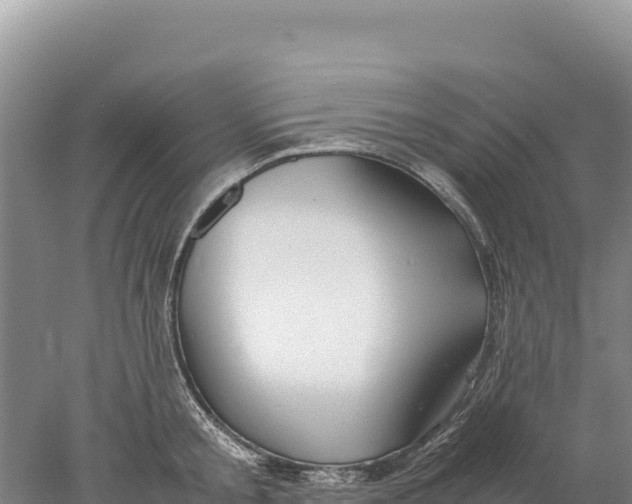 X0000077990805200611171753