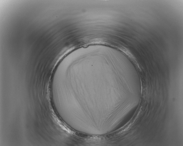 X0000077990806200611171753