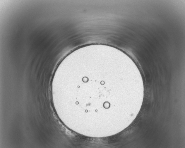 X0000077990807200611171753