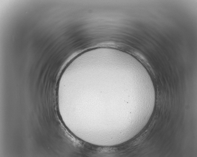 X0000077990808200611171753