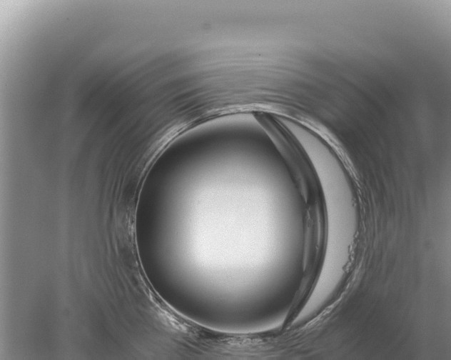 X0000077990809200611171753