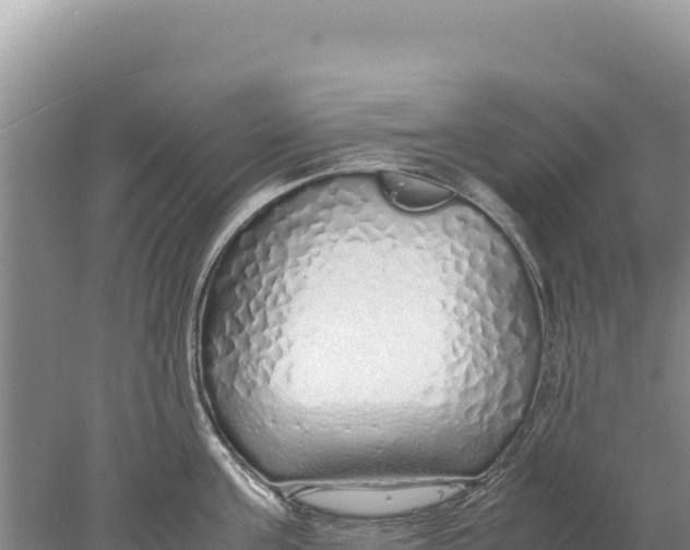 X0000077990811200611171753