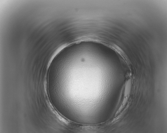 X0000077990812200611171753