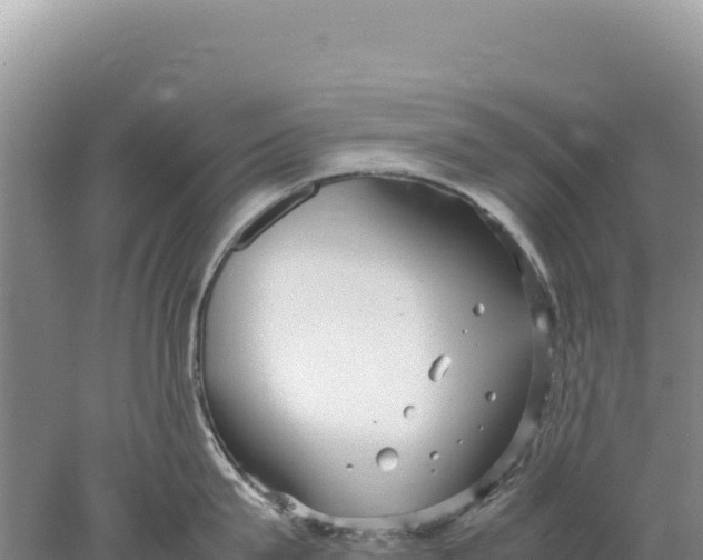 X0000077990815200611171753