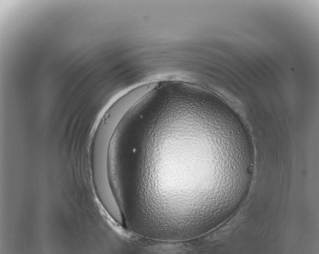 X0000077990816200611171753