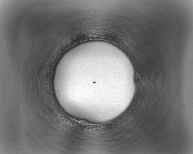 X0000077990817200611171752