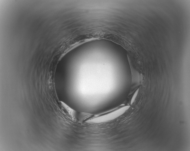 X0000077990818200611171752