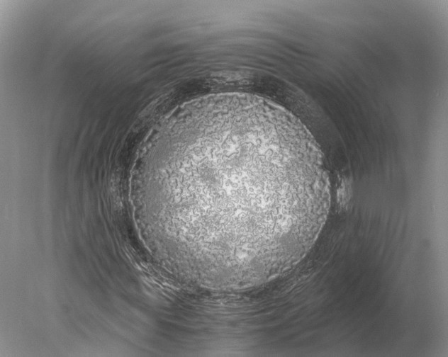 X0000077990819200611171752