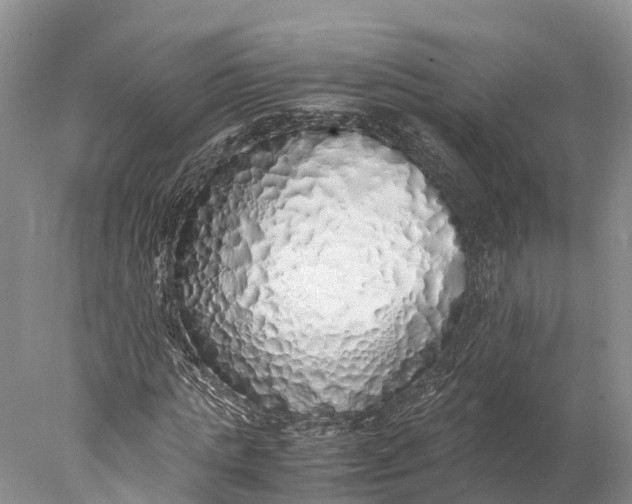 X0000077990821200611171752