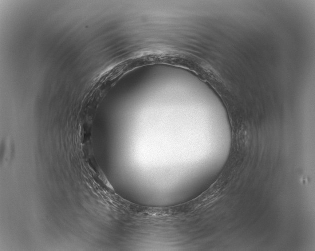 X0000077990822200611171752