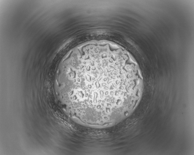 X0000077990823200611171752