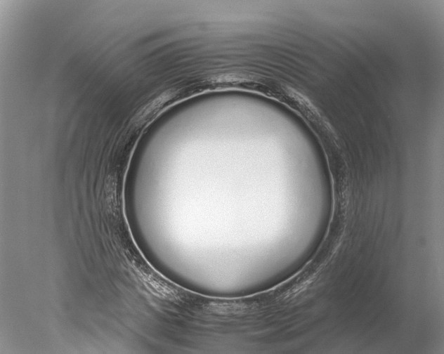 X0000077990825200611171752