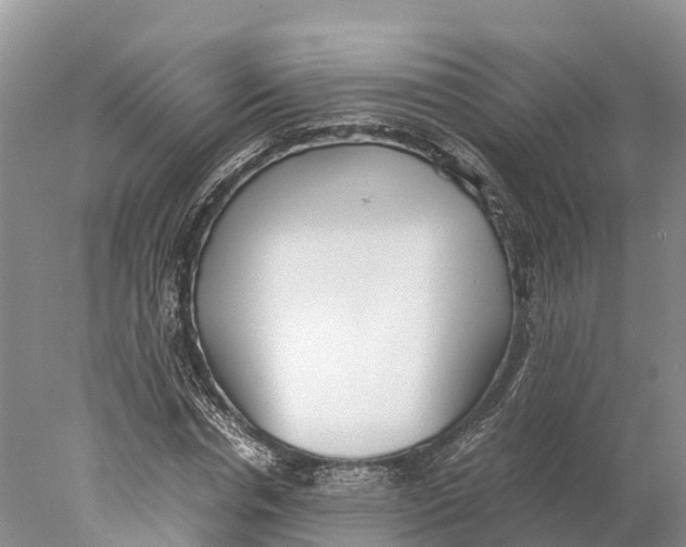 X0000077990826200611171752