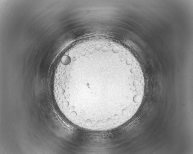 X0000077990828200611171752